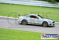 230817_orazzi_7376.jpg 08/17/2023 - TNiA Lime Rock Park www.mikeorazzi.com,Â©Mike Orazzi,