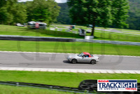 230817_orazzi_6195_(1).jpg 08/17/2023 - TNiA Lime Rock Park www.mikeorazzi.com,Â©Mike Orazzi,