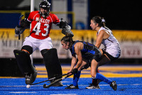 UNHFH_vs_Mollly_20230905_CM0_7105.jpg 09/05/2023 - New Haven Field Hockey vs Molloy Charge On,Chargers,Clarus Multimedia,Clarus Studios,D2,DII,Get Charged Up,Lions,Molloy,NCAA,NE10,New England,New Haven,New Haven Chargers,Northeast 10,