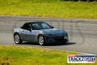 TNiA_Palmer_20230907_CM0_0110.jpg 09/07/2023 - TNiA Palmer Motorsports Park Clarus Studios,Connecticut,New England,SCCA,SCCATrackNight,TNiA,Thompson,Tire Rack,Track Night in America,USA,www.clarusstudios.com,
