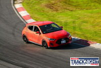 TrackNightinAmerica_TSMP_20230921_CM0_2002.jpg 09/21/2023 - TNiA Thompson Speedway 1.7 Mile Road Course,Clarus Multimedia Group,Clarus Studios,New England,SCCA,SCCATrackNight,TNiA,Thompson Speedway Motorsports Park,Tire Rack,Track Night in America,USA,www.clarusmultimedia.com,www.clarusstudios.com,