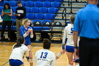 UNH-WVBall_vs_StRose_20230926_CM4_6880.jpg 09/26/2023 - New Haven Volleyball vs Saint Rose Charge On,Chargers,Clarus Multimedia,Clarus Studios,D2,DII,Get Charged Up,Golden Knights,NCAA,NE10,New England,New Haven,New Haven Chargers,Northeast 10,Saint Rose,