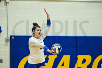 UNH-WVBall_vs_StRose_20230926_CM4_6894.jpg 09/26/2023 - New Haven Volleyball vs Saint Rose Charge On,Chargers,Clarus Multimedia,Clarus Studios,D2,DII,Get Charged Up,Golden Knights,NCAA,NE10,New England,New Haven,New Haven Chargers,Northeast 10,Saint Rose,