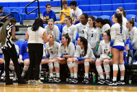 230921_orazzi_volleyball_5639.jpg 09/21/2023 - New Haven Volleyball @mikeorazzi,Â©Mike Orazzi,
