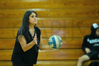 Bridgeport-WVBall_vs_Post_20230927_CM0_2169.jpg 09/27/2023 - Bridgeport Volleyball vs Post Bridgeport,Clarus Multimedia,Clarus Studios,D2,DII,Eagles,Golden Knights,NCAA,New England,Post,Volleyball,