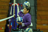 Bridgeport-WVBall_vs_Post_20230927_CM0_2267.jpg 09/27/2023 - Bridgeport Volleyball vs Post Bridgeport,Clarus Multimedia,Clarus Studios,D2,DII,Eagles,Golden Knights,NCAA,New England,Post,Volleyball,