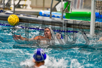 230915_orazzi_waterpolo_5369.jpg 09/15/2023 - Conn College Water Polo @mikeorazzi,Â©Mike Orazzi,