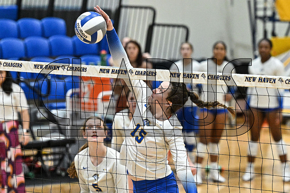10/19/2023 - New Haven Volleyball vs Molloy