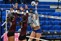 NewHavenVBall_vs_Molloy_20231019_CM0_9929.jpg 10/19/2023 - New Haven Volleyball vs Molloy Charge On,Chargers,Clarus Multimedia,Clarus Studios,D2,DII,Get Charged Up,NCAA,NE10,NO LIGHTS,New England,New Haven,New Haven Chargers,Northeast 10,Pennman,SNHU,