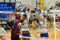NewHavenVBall_vs_Molloy_20231019_CM0_0101.jpg 10/19/2023 - New Haven Volleyball vs Molloy Charge On,Chargers,Clarus Multimedia,Clarus Studios,D2,DII,Get Charged Up,NCAA,NE10,NO LIGHTS,New England,New Haven,New Haven Chargers,Northeast 10,Pennman,SNHU,