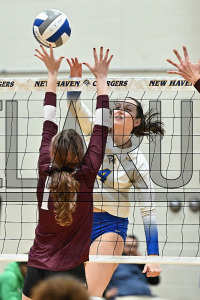 NewHavenVBall_vs_Molloy_20231019_CM0_0279.jpg 10/19/2023 - New Haven Volleyball vs Molloy Charge On,Chargers,Clarus Multimedia,Clarus Studios,D2,DII,Get Charged Up,NCAA,NE10,NO LIGHTS,New England,New Haven,New Haven Chargers,Northeast 10,Pennman,SNHU,