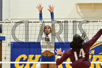 NewHavenVBall_vs_Molloy_20231019_CM0_0294.jpg 10/19/2023 - New Haven Volleyball vs Molloy Charge On,Chargers,Clarus Multimedia,Clarus Studios,D2,DII,Get Charged Up,NCAA,NE10,NO LIGHTS,New England,New Haven,New Haven Chargers,Northeast 10,Pennman,SNHU,