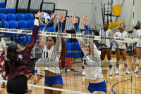 NewHavenVBall_vs_Molloy_20231019_CM0_0113.jpg 10/19/2023 - New Haven Volleyball vs Molloy Charge On,Chargers,Clarus Multimedia,Clarus Studios,D2,DII,Get Charged Up,NCAA,NE10,NO LIGHTS,New England,New Haven,New Haven Chargers,Northeast 10,Pennman,SNHU,