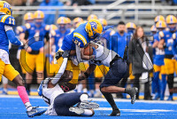 NewHavenFB_vs_StAnselm_20231014_CM0_8251.jpg 10/14/2023 - New Haven Football vs St Anselm Charge On,Chargers,Clarus Multimedia,Clarus Studios,D2,DII,Get Charged Up,NCAA,NE10,New England,New Haven,New Haven Chargers,Northeast 10,Saint Anselm,