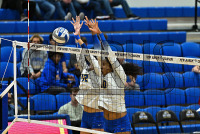 NewHavenVBall_vs_Molloy_20231019_CM0_0051.jpg 10/19/2023 - New Haven Volleyball vs Molloy Charge On,Chargers,Clarus Multimedia,Clarus Studios,D2,DII,Get Charged Up,NCAA,NE10,NO LIGHTS,New England,New Haven,New Haven Chargers,Northeast 10,Pennman,SNHU,