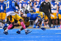 NewHavenFB_vs_StAnselm_20231014_CM0_8262.jpg 10/14/2023 - New Haven Football vs St Anselm Charge On,Chargers,Clarus Multimedia,Clarus Studios,D2,DII,Get Charged Up,NCAA,NE10,New England,New Haven,New Haven Chargers,Northeast 10,Saint Anselm,