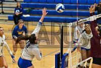 NewHavenVBall_vs_Molloy_20231019_CM0_9856.jpg 10/19/2023 - New Haven Volleyball vs Molloy Charge On,Chargers,Clarus Multimedia,Clarus Studios,D2,DII,Get Charged Up,NCAA,NE10,NO LIGHTS,New England,New Haven,New Haven Chargers,Northeast 10,Pennman,SNHU,