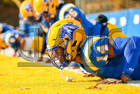 UNHFB_vs_Bentley_20231111_CM0_0854.jpg 11/11/2023 - New Haven Football vs Bentley - NE10 Champs Bentley,Charge On,Chargers,Clarus Multimedia,Clarus Studios,D2,DII,Falcons,Get Charged Up,NCAA,NE10,New England,New Haven,New Haven Chargers,Northeast 10,