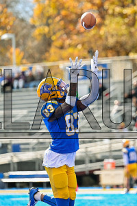 UNHFB_vs_Bentley_20231111_CM0_0893.jpg 11/11/2023 - New Haven Football vs Bentley - NE10 Champs Bentley,Charge On,Chargers,Clarus Multimedia,Clarus Studios,D2,DII,Falcons,Get Charged Up,NCAA,NE10,New England,New Haven,New Haven Chargers,Northeast 10,