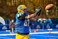 UNHFB_vs_Bentley_20231111_CM0_0950.jpg 11/11/2023 - New Haven Football vs Bentley - NE10 Champs Bentley,Charge On,Chargers,Clarus Multimedia,Clarus Studios,D2,DII,Falcons,Get Charged Up,NCAA,NE10,New England,New Haven,New Haven Chargers,Northeast 10,