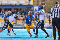 UNHFB_vs_Bentley_20231111_CM0_3268.jpg 11/11/2023 - New Haven Football vs Bentley - NE10 Champs Bentley,Charge On,Chargers,Clarus Multimedia,Clarus Studios,D2,DII,Falcons,Get Charged Up,NCAA,NE10,New England,New Haven,New Haven Chargers,Northeast 10,