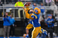 UNHFB_vs_Bentley_20231111_CM0_3443.jpg 11/11/2023 - New Haven Football vs Bentley - NE10 Champs Bentley,Charge On,Chargers,Clarus Multimedia,Clarus Studios,D2,DII,Falcons,Get Charged Up,NCAA,NE10,New England,New Haven,New Haven Chargers,Northeast 10,