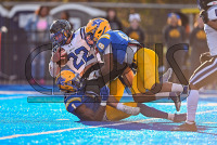 UNHFB_vs_Bentley_20231111_CM0_3324.jpg 11/11/2023 - New Haven Football vs Bentley - NE10 Champs Bentley,Charge On,Chargers,Clarus Multimedia,Clarus Studios,D2,DII,Falcons,Get Charged Up,NCAA,NE10,New England,New Haven,New Haven Chargers,Northeast 10,