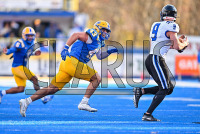 UNHFB_vs_Bentley_20231111_CM0_3192.jpg 11/11/2023 - New Haven Football vs Bentley - NE10 Champs Bentley,Charge On,Chargers,Clarus Multimedia,Clarus Studios,D2,DII,Falcons,Get Charged Up,NCAA,NE10,New England,New Haven,New Haven Chargers,Northeast 10,