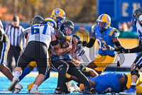 UNHFB_vs_Bentley_20231111_CM0_3301.jpg 11/11/2023 - New Haven Football vs Bentley - NE10 Champs Bentley,Charge On,Chargers,Clarus Multimedia,Clarus Studios,D2,DII,Falcons,Get Charged Up,NCAA,NE10,New England,New Haven,New Haven Chargers,Northeast 10,