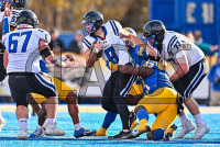 UNHFB_vs_Bentley_20231111_CM0_3290.jpg 11/11/2023 - New Haven Football vs Bentley - NE10 Champs Bentley,Charge On,Chargers,Clarus Multimedia,Clarus Studios,D2,DII,Falcons,Get Charged Up,NCAA,NE10,New England,New Haven,New Haven Chargers,Northeast 10,