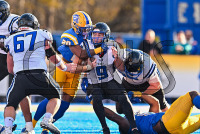 UNHFB_vs_Bentley_20231111_CM0_3296.jpg 11/11/2023 - New Haven Football vs Bentley - NE10 Champs Bentley,Charge On,Chargers,Clarus Multimedia,Clarus Studios,D2,DII,Falcons,Get Charged Up,NCAA,NE10,New England,New Haven,New Haven Chargers,Northeast 10,