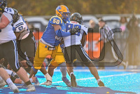 UNHFB_vs_Bentley_20231111_CM0_3342.jpg 11/11/2023 - New Haven Football vs Bentley - NE10 Champs Bentley,Charge On,Chargers,Clarus Multimedia,Clarus Studios,D2,DII,Falcons,Get Charged Up,NCAA,NE10,New England,New Haven,New Haven Chargers,Northeast 10,