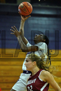 BridgeportWBB_vs_Molloy_20231115_CM0_0119.jpg 11/15/2023 - Bridgeport Womens Basketball vs Molloy Bears,Bloomfield,Bloomfield Bears,Bridgeport,CACC,Central Athletic Collegiate Conference,Clarus Multimedia Group,Clarus Studios,D2,DII,Knights,NCAA,New England,
