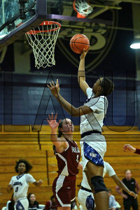 BridgeportWBB_vs_Molloy_20231115_CM0_0086.jpg 11/15/2023 - Bridgeport Womens Basketball vs Molloy Bears,Bloomfield,Bloomfield Bears,Bridgeport,CACC,Central Athletic Collegiate Conference,Clarus Multimedia Group,Clarus Studios,D2,DII,Knights,NCAA,New England,