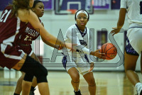 BridgeportWBB_vs_Molloy_20231115_CM0_0037.jpg 11/15/2023 - Bridgeport Womens Basketball vs Molloy Bears,Bloomfield,Bloomfield Bears,Bridgeport,CACC,Central Athletic Collegiate Conference,Clarus Multimedia Group,Clarus Studios,D2,DII,Knights,NCAA,New England,