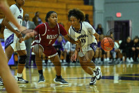 BridgeportWBB_vs_Molloy_20231115_CM0_0191.jpg 11/15/2023 - Bridgeport Womens Basketball vs Molloy Bears,Bloomfield,Bloomfield Bears,Bridgeport,CACC,Central Athletic Collegiate Conference,Clarus Multimedia Group,Clarus Studios,D2,DII,Knights,NCAA,New England,