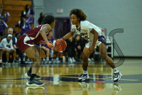 BridgeportWBB_vs_Molloy_20231115_CM0_0138.jpg 11/15/2023 - Bridgeport Womens Basketball vs Molloy Bears,Bloomfield,Bloomfield Bears,Bridgeport,CACC,Central Athletic Collegiate Conference,Clarus Multimedia Group,Clarus Studios,D2,DII,Knights,NCAA,New England,