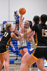 UNHWBB_vs_Adelphi_20231205_CM0_6276.jpg 12/05/2023 - New Haven Womens Basketball vs Adelphi Adelphi,Charge On,Chargers,Clarus Multimedia,Clarus Studios,D2,DII,Get Charged Up,NCAA,NE10,New England,New Haven,New Haven Chargers,Northeast 10,