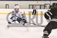 ConnCollegeMHKY_vs_Bowdoin_20231209_CM0_2877.jpg 12/09/2023 - Conn College Mens Hockey vs Bowdoin CC,Camels,Clarus Studios,Conn College,Connecticut,Connecticut College,Connecticut College Camels,DIII,Dayton Arena,Mens Hockey,NESCAC,New England,New London,