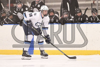 ConnCollegeMHKY_vs_Bowdoin_20231209_CM0_2889.jpg 12/09/2023 - Conn College Mens Hockey vs Bowdoin CC,Camels,Clarus Studios,Conn College,Connecticut,Connecticut College,Connecticut College Camels,DIII,Dayton Arena,Mens Hockey,NESCAC,New England,New London,