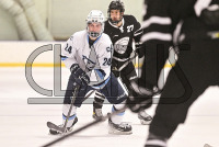 ConnCollegeMHKY_vs_Bowdoin_20231209_CM0_4750.jpg 12/09/2023 - Conn College Mens Hockey vs Bowdoin CC,Camels,Clarus Studios,Conn College,Connecticut,Connecticut College,Connecticut College Camels,DIII,Dayton Arena,Mens Hockey,NESCAC,New England,New London,