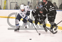 ConnCollegeMHKY_vs_Bowdoin_20231209_CM0_2958.jpg 12/09/2023 - Conn College Mens Hockey vs Bowdoin CC,Camels,Clarus Studios,Conn College,Connecticut,Connecticut College,Connecticut College Camels,DIII,Dayton Arena,Mens Hockey,NESCAC,New England,New London,