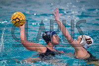 IMG_3097_Daniel_Saunders.jpeg 03/13/2024 - Conn College Womens Water Polo 