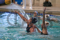 IMG_3092_Daniel_Saunders.jpeg 03/13/2024 - Conn College Womens Water Polo 