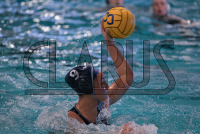 IMG_3099_Daniel_Saunders.jpeg 03/13/2024 - Conn College Womens Water Polo 
