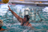 IMG_3094_Daniel_Saunders.jpeg 03/13/2024 - Conn College Womens Water Polo 
