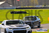 TNiA_TSMP_20240502_CM0_6251.jpg 05/02/2024 - TNiA Thompson Speedway 1.7 Mile Road Course,Clarus Multimedia Group,Clarus Studios,New England,SCCA,SCCATrackNight,TNiA,Thompson Speedway Motorsports Park,Tire Rack,Track Night in America,USA,www.clarusmultimedia.com,www.clarusstudios.com,