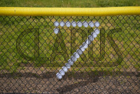 DSC_7268_Dan_saunders.jpg 04/27/2024 - New Haven Women's Lacrosse Senior Day 