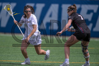 DSC_8960_Dan_saunders.jpg 04/27/2024 - New Haven Women's Lacrosse Senior Day 