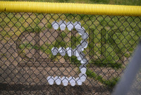 DSC_7270_Dan_saunders.jpg 04/27/2024 - New Haven Women's Lacrosse Senior Day 